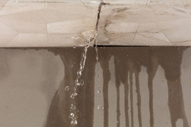 Professional Water Damage Repair technician working in Hull, TX